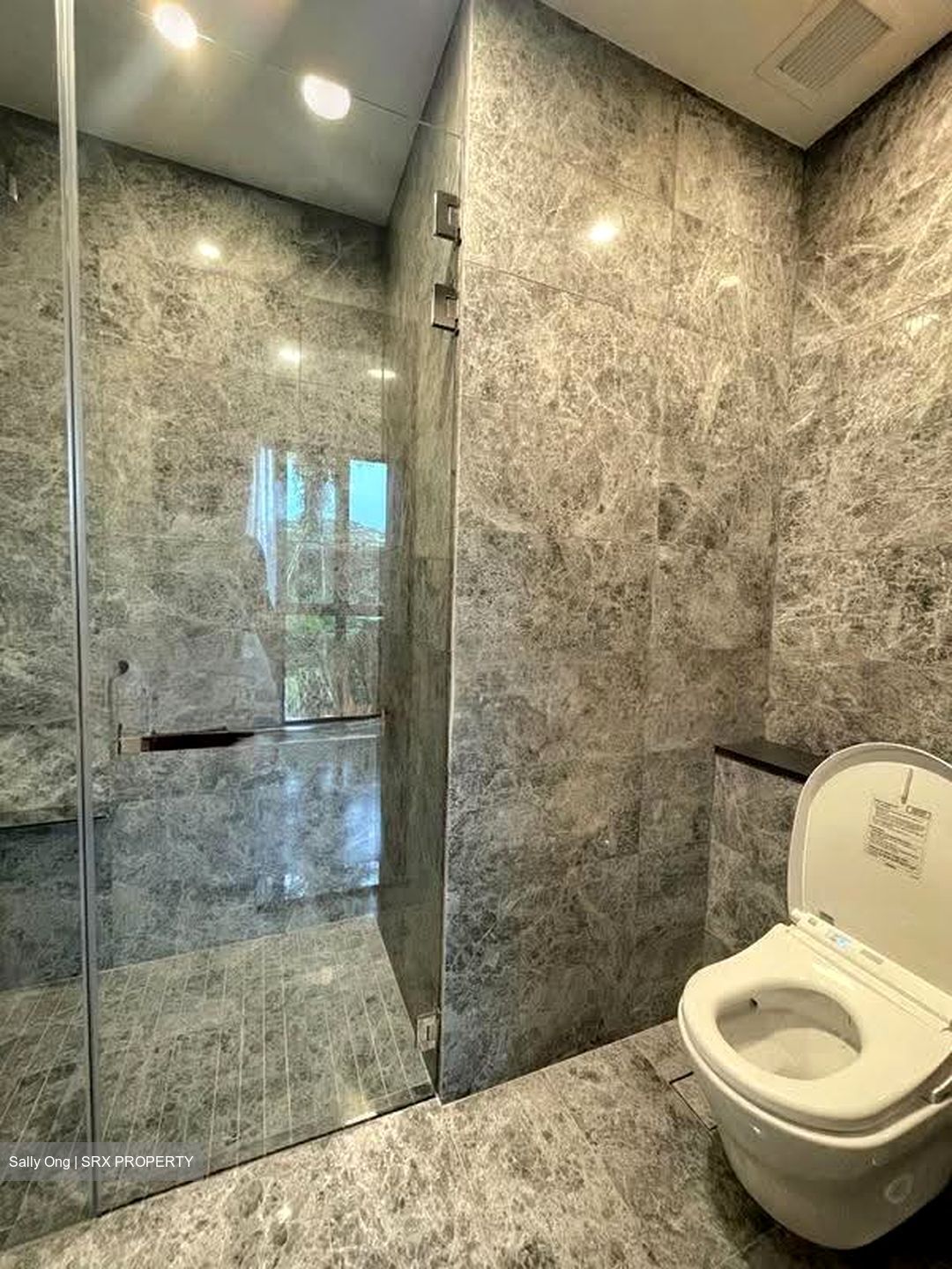 Parksuites (D10), Apartment #619587671